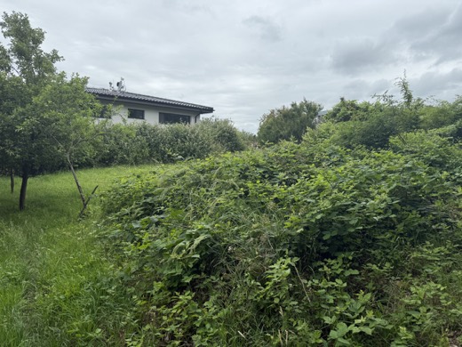Rovinatý ideálny stavebný pozemok 848 m2 Marianka
