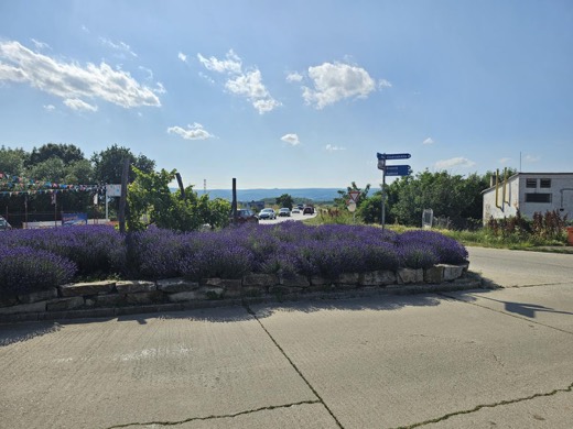 Na prenájom pozemok Pezinok 5063m2